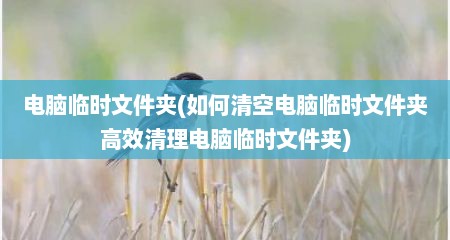 电脑临时文件夹(如何清空电脑临时文件夹高效清理电脑临时文件夹)