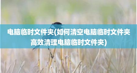 电脑临时文件夹(茹何清空电脑临时文件夹高效清理电脑临时文件夹)