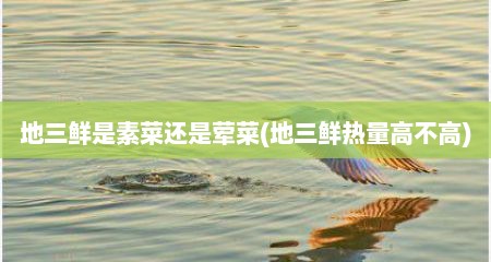 地三鲜是素菜还是荤菜(地三鲜热量高不高)