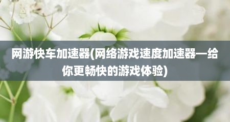 网游快车加速器(网络游戏速度加速器—给你更畅快的游戏体验)