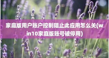 家庭版用户账户控制阻止此应用怎么关(win10家庭版账号被停用)