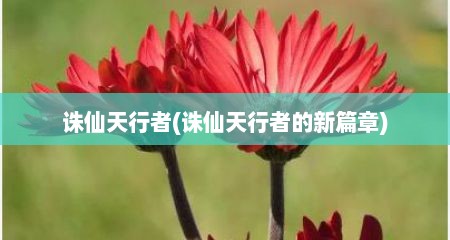 诛仙天行者(诛仙天行者的新篇章)