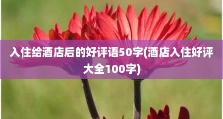 入住给酒店后的好评语50字(酒店入住好评大全100字)