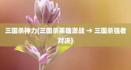 三国杀神力(三国杀英雄激战 → 三国杀强者对决)