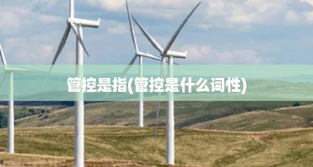 管控是指(管控是什么词性)