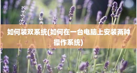 如何装双系统(如何在一台电脑上安装两种操作系统)