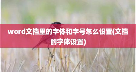 word文档里的字体和字号怎么设置(文档的字体设置)