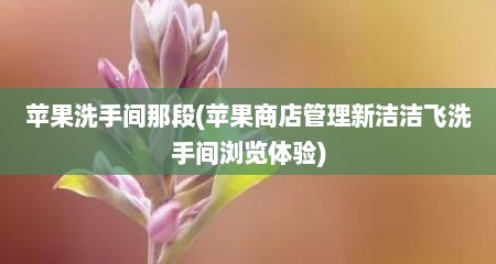 苹果洗手间哪段(苹果商店管理新洁洁飞洗手间浏览体验)