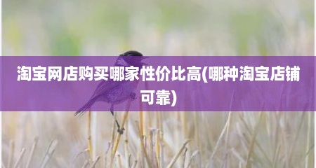 淘宝网店购买哪家性价比高(哪种淘宝店铺可靠)