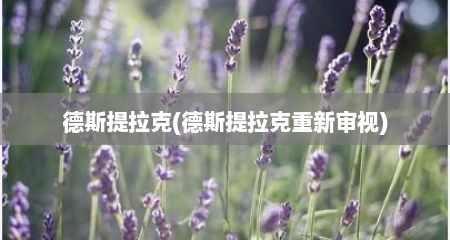 德斯缇拉克(德斯缇拉克重新审视)