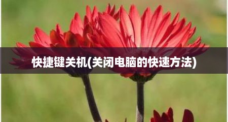 快捷键关机(关闭电脑的快速方法)