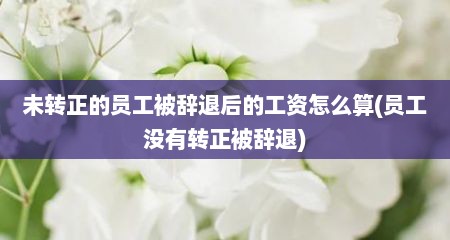未转正的员工被辞退后的工资怎么算(员工没有转正被辞退)