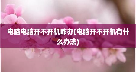 电脑电脑开不开机咋办(电脑开不开机有什么办法)
