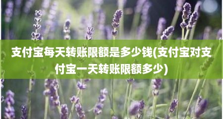 支付宝每天转账限额是多少钱(支付宝对支付宝一天转账限额多少)