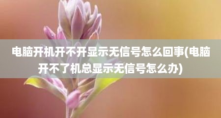 电脑开机开不开显示无信号怎么回事(电脑开不了机总显示无信号怎么办)