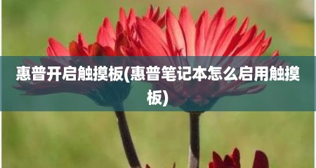 惠普开启触摸板(惠普笔记本怎么启用触摸板)