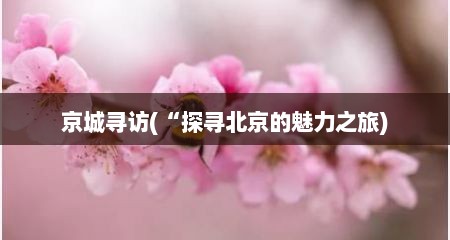 京城寻访(“探寻北京的魅力之旅)