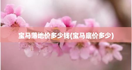 宝马落地价多少钱(宝马底价多少)