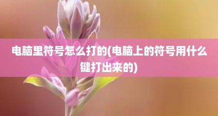 电脑里符号怎么打的(电脑上的符号用什么键打出来的)
