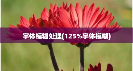 字体模糊处理(125%字体模糊)