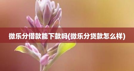 微乐分借款能下款吗(微乐分贷款怎么样)