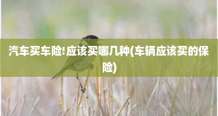 汽车买车险!应该买哪几种(车辆应该买的保险)