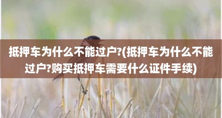 抵押车为什么不能过户?(抵押车为什么不能过户?购买抵押车需要什么证件手续)