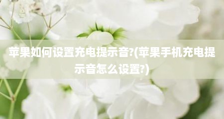 苹果如何设置充电提示音?(苹果手机充电提示音怎么设置?)