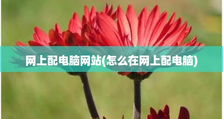 网上配电脑网站(怎么在网上配电脑)