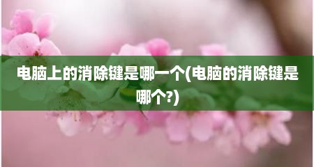 电脑上的消除键是哪一个(电脑的消除键是哪个?)