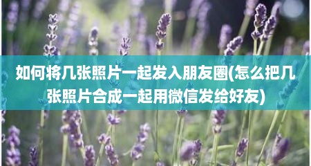 如何将几张照片一起发入朋友圈(怎么把几张照片合成一起用微信发给好友)