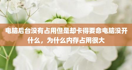 电脑后台没有占用但是却卡得要命电脑没开什么，为什么内存占用很大