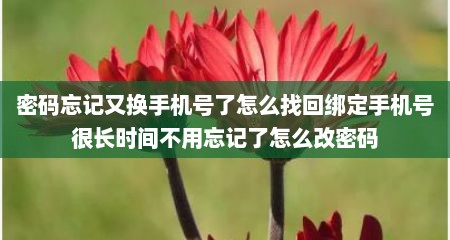 密码忘记又换手机号了怎么找回绑定手机号很长时间不用忘记了怎么改密码