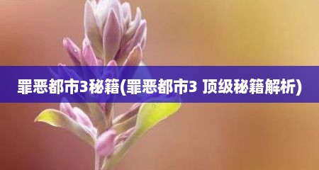 罪恶都市3秘籍(罪恶都市3 顶级秘籍解析)