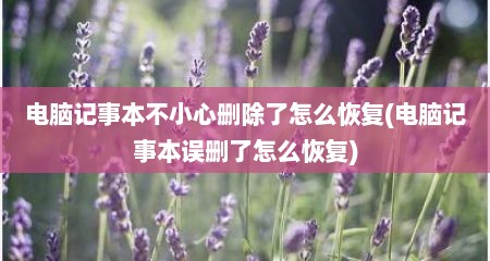 电脑记事本不小心删除了怎么恢复(电脑记事本误删了怎么恢复)