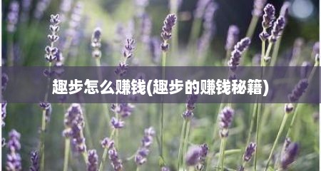 趣步怎么赚钱(趣步的赚钱秘籍)