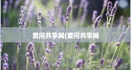 爱问共享网(爱问共享网