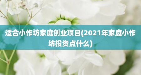 适合小作坊家庭创业项目(2021年家庭小作坊投资点什么)