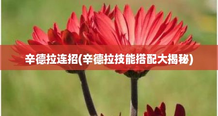 辛德拉连招(辛德拉技能搭配大揭秘)