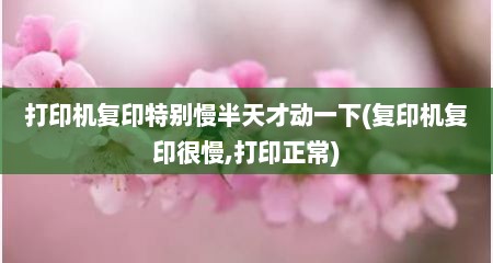 打印机复印特别慢半天才动一下(复印机复印很慢,打印正常)