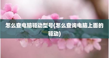 怎么查电脑驱动型号(怎么查询电脑上面的驱动)