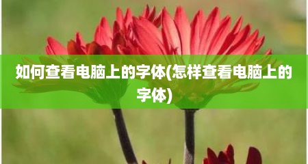如何查看电脑上的字体(怎样查看电脑上的字体)