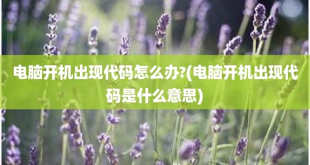 电脑开机出现代码怎么办?(电脑开机出现代码是什么意思)
