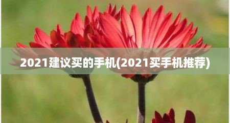 2021建议买的手机(2021买手机推荐)