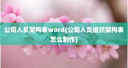 公司人员架构表word(公司人员组织架构表怎么制作)