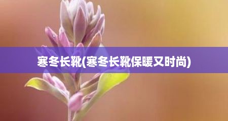 寒冬长靴(寒冬长靴保暖文时尚)