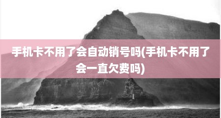 手机卡不用了会自动销号吗(手机卡不用了会一直欠费吗)