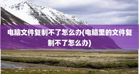 电脑文件复制不了怎么办(电脑里的文件复制不了怎么办)