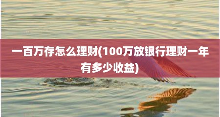 一百万存怎么理财(100万放银行理财一年有多少收益)