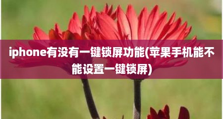 iphone有没有一键锁屏功能(苹果手机能不能设置一键锁屏)